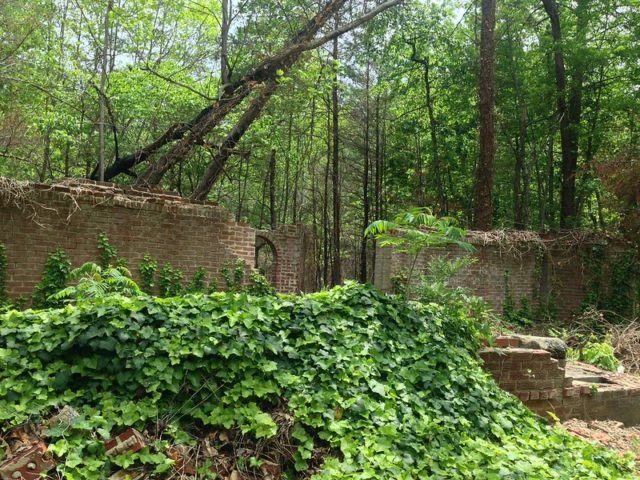 Ruins of Corpsewood Manor 