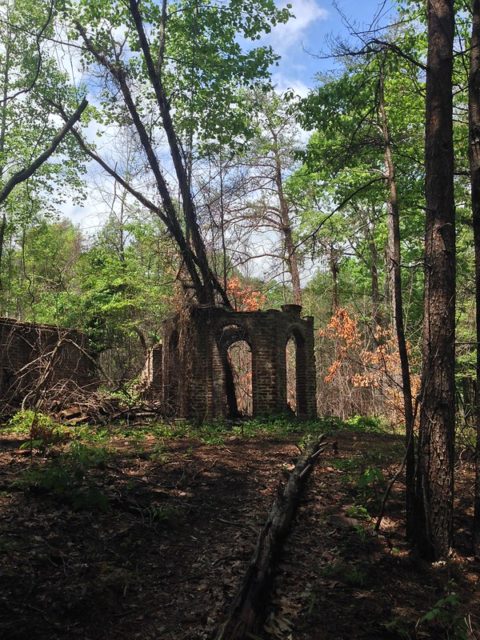 ruins of Corpsewood Manor 