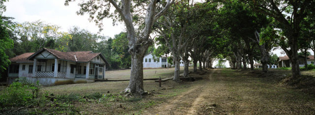 Abandoned homes in Fordlândia