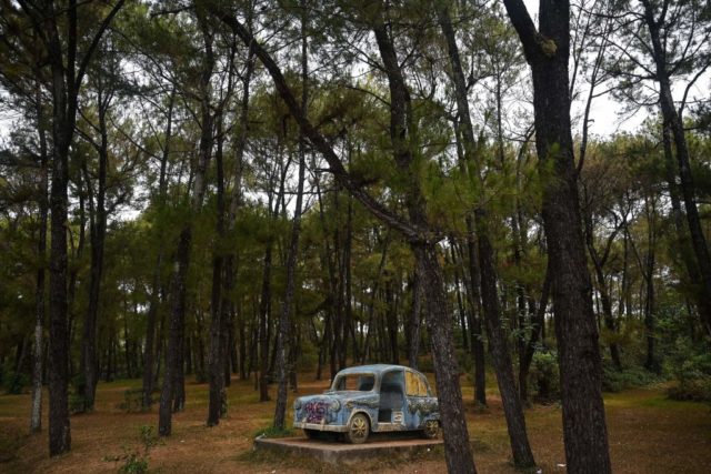 Cement car in the middle of the jungle