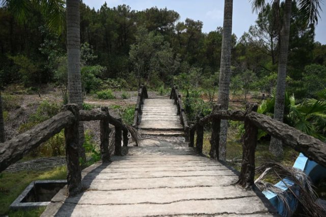 Wooden walkway