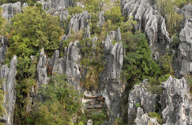 Sagada hanging coffins