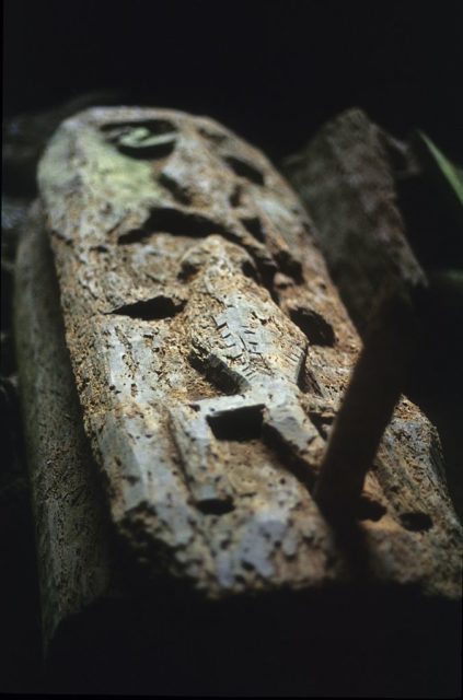 Stone coffin with lizards carved into the top