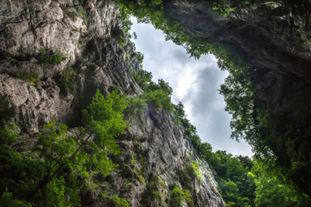 Looking up from the bottom of a sinkhole