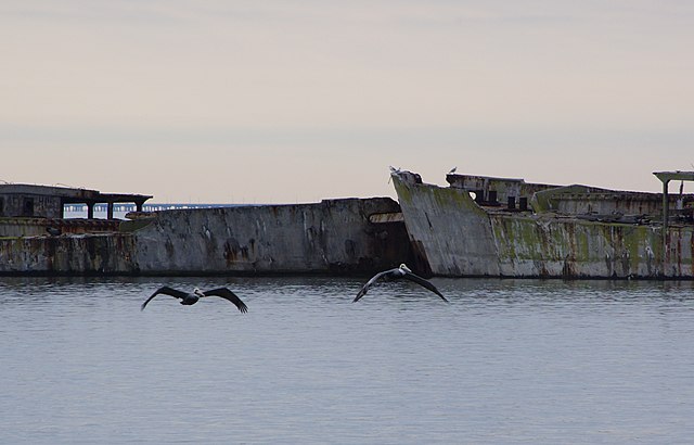 Pelicans flying toward two concrete ships