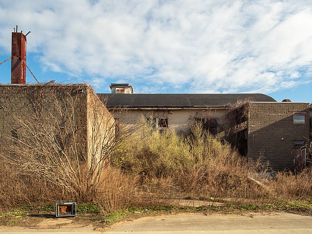 Building shrouded by tall grass