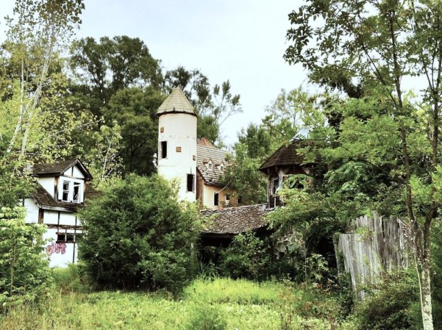 Building surrounded by bushes and trees