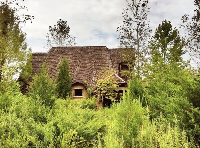 Building hidden by tall grass