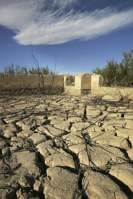 Cracked ground in the desert