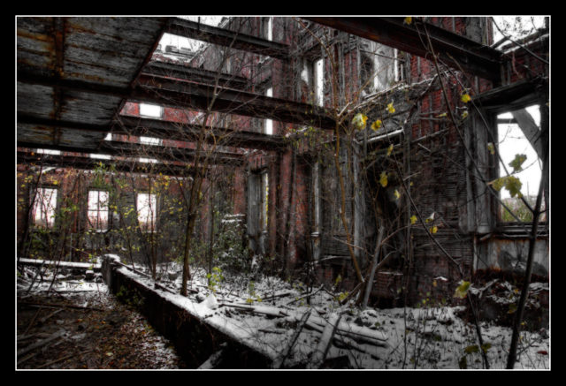 The decaying interior of the Smallpox Hospital