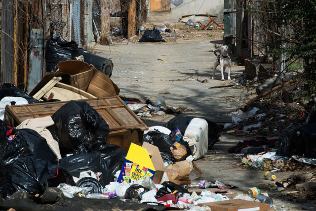 Garbage littering an alleyway