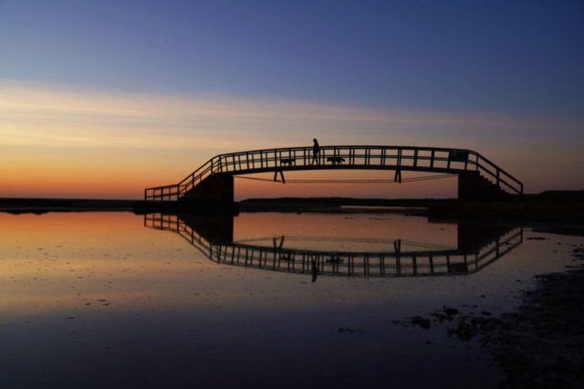 Woman walking her two dogs on Belhaven Bridge