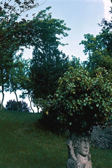 Sculpture of a head with a tree growing out of it