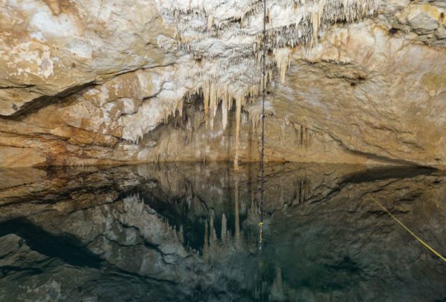 Inside a cenote