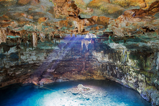 A stunning view inside a cenote