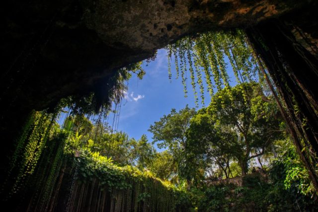 The entrance to Cenote Ik Kil