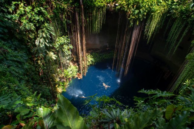 Swimming in a cenote