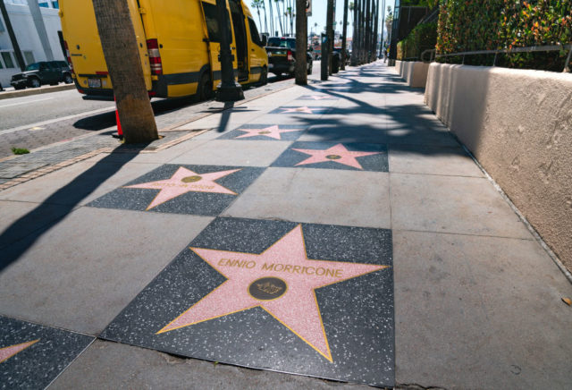 Stars along the Hollywood Walk of Fame