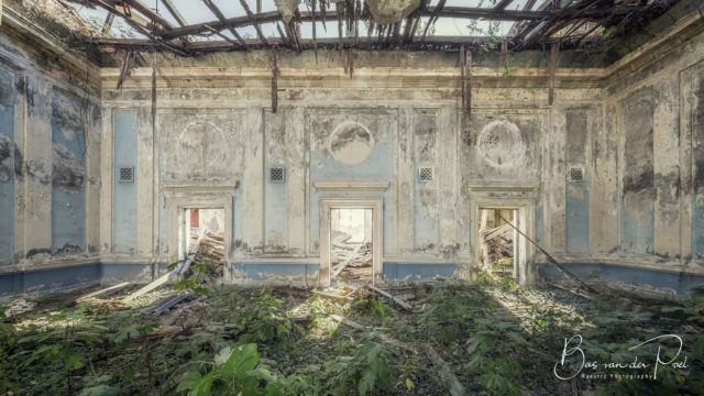 Grass growing in a room with a broken roof