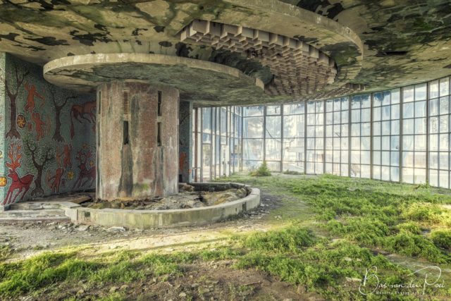 Grass growing in a room with a large, circular pillar