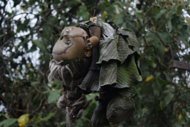 Doll hanging from a tree on the Island of the Dolls