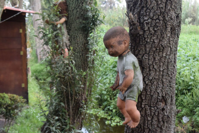 Doll attached to a tree trunk