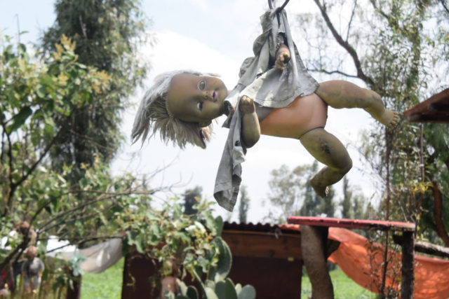 Doll hanging from a tree on the Island of the Dolls