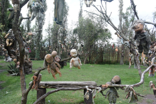 Dolls hanging from trees on the Island of the Dolls