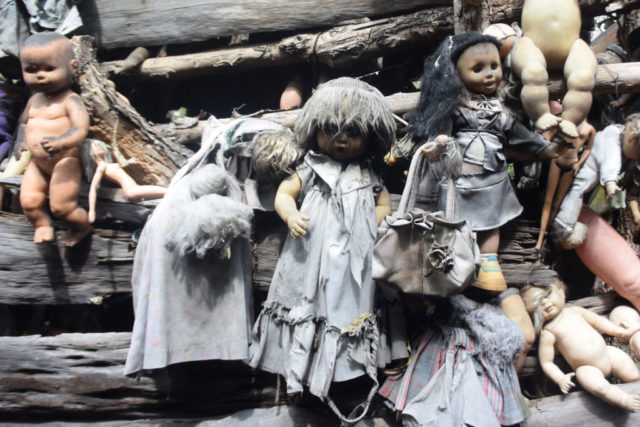 Dolls hanging on a wooden wall