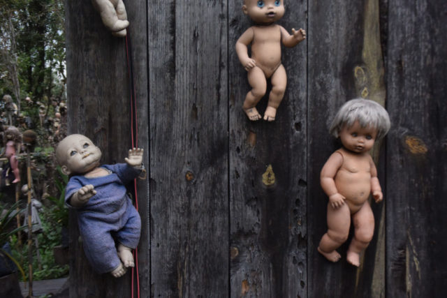 Dolls attached to the trunk of a tree on the Island of the Dolls