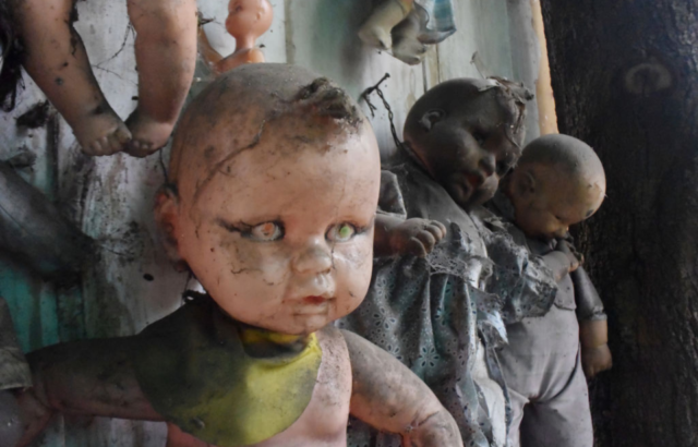 Dolls attached to a wooden wall