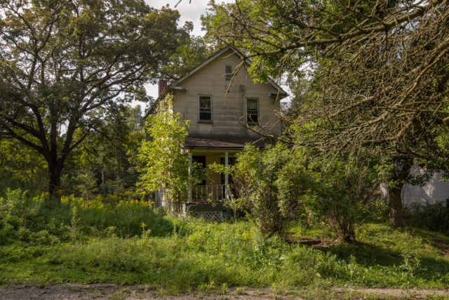 House surrounded by overgrown trees and grass