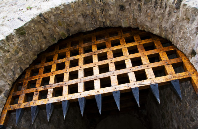 A raised portcullis gate