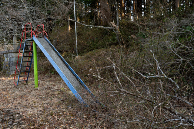 Metal slide surrounded by dead vegetation