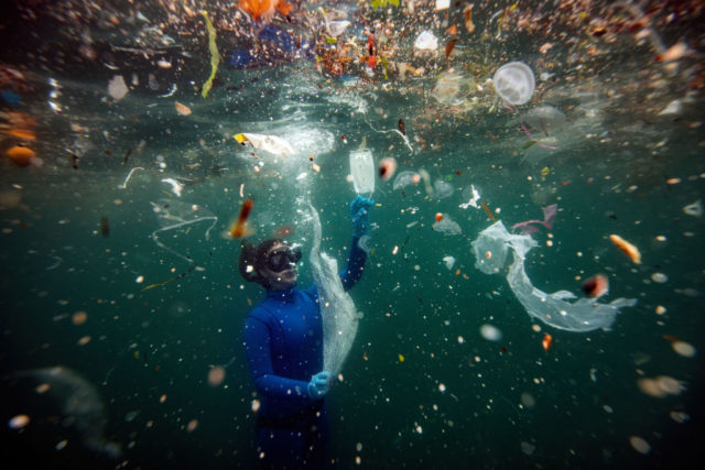 Diver underwater with a collection of trash above her head.