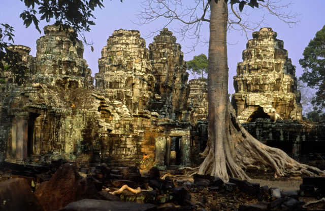 Tree growing amid structures in Ta Prohm