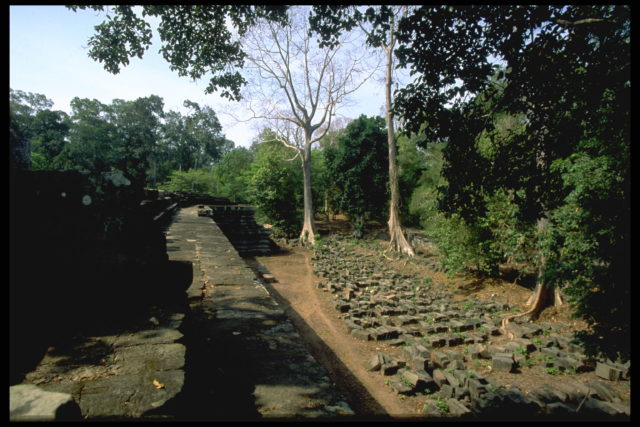 Concrete wall surrounded by trees