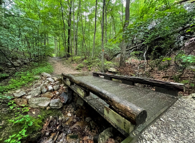 Wooden bridge running across a small creek in the forest