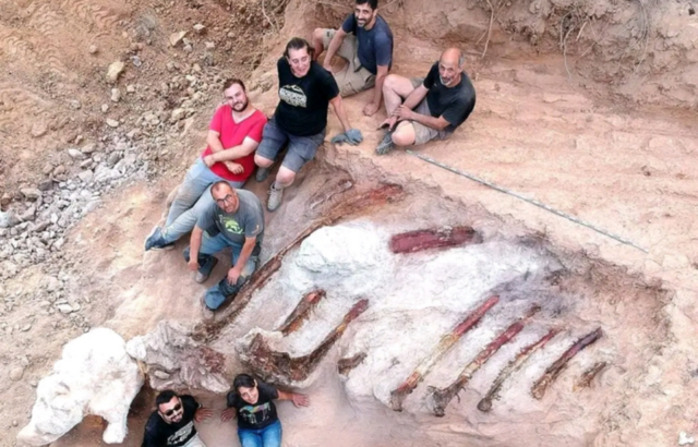 Overhead view of seven palaeontologists sitting around the remains of a sauropod dinosaur