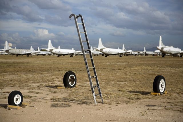 Ladder stuck in the ground, surrounded by four wheels