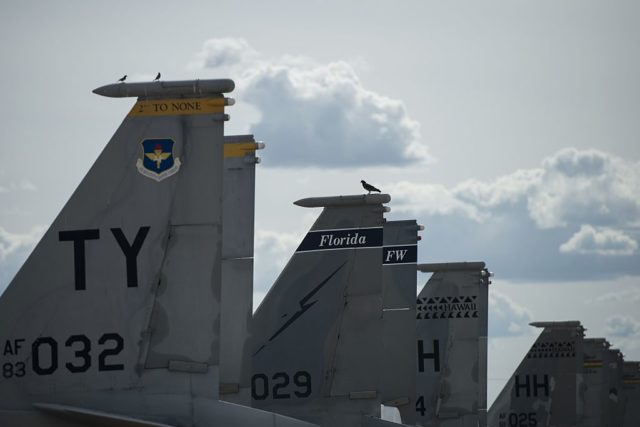 Tails belonging to McDonnell Douglas F-15 Eagles