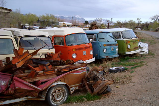 Row of colorful Volkswagen buses.