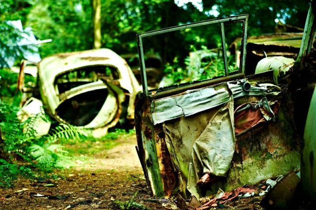 Inside of a car door with fraying upholstery with an abandoned Volkswagen Beetle in the background. 