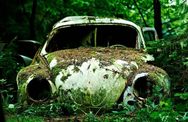Abandoned Volkswagen Beetle in overgrown foliage without lights or a windshield.