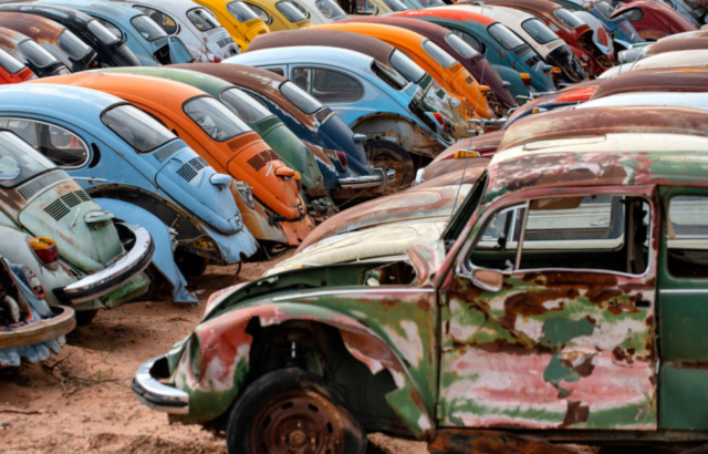 Rows of colorful, rusted Volkswagen Beatles.