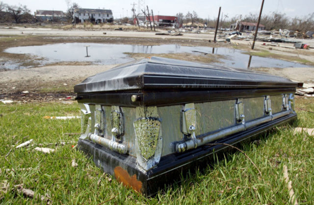 Coffin lying on a patch of grass