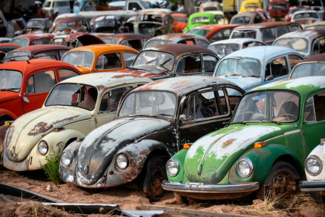 Rows of old and rusting Volkswagen Beetles.