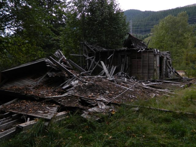 The ruins of a wood building that had been destroyed in a forest