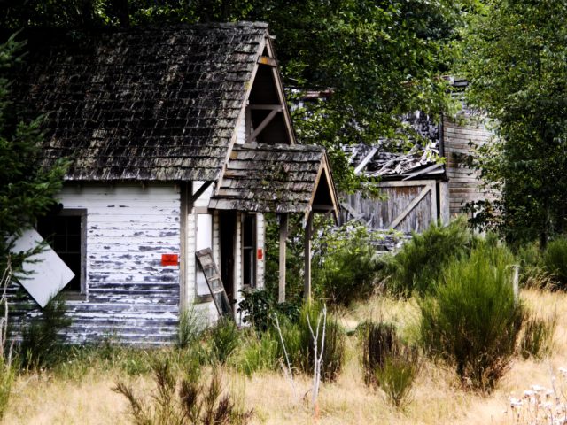 The side view of multiple decaying buildings lost in shrubbery