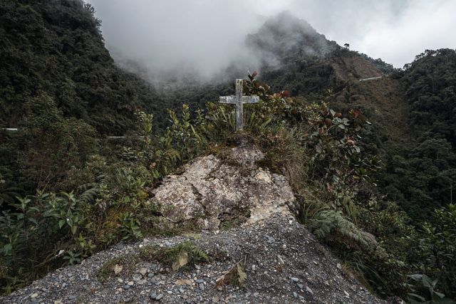 Wooden cross surrounded by overgrown foliage